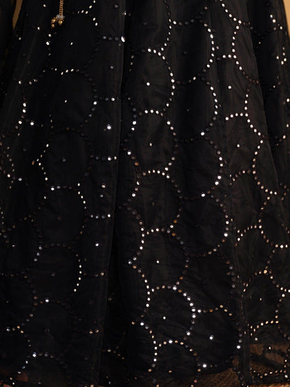 Fabulous Black Embroidered Organza Lehenga Choli With Dupatta - Zeel Clothing
