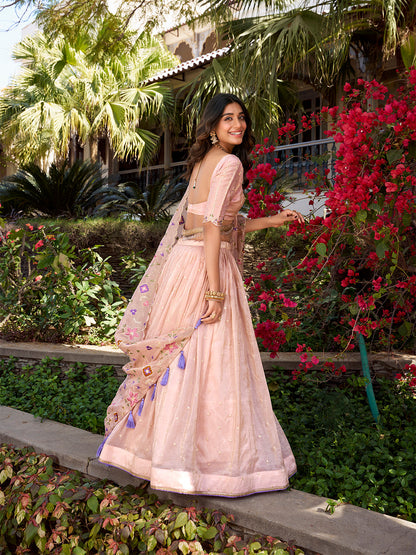 Light Pink Color Sequins And Thread Embroidery Gold Crush Lehenga Choli